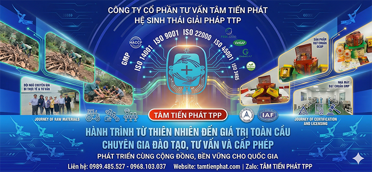 Tâm Tiến Phát